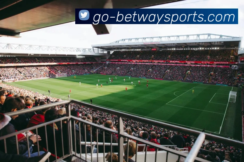 体育下注平台生态图